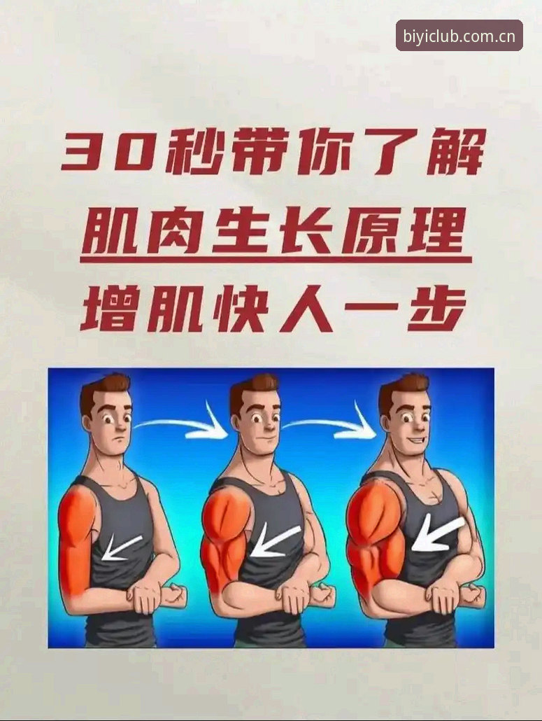 必一体育平台数据推送提醒功能使用详解：让比分更新快人一步